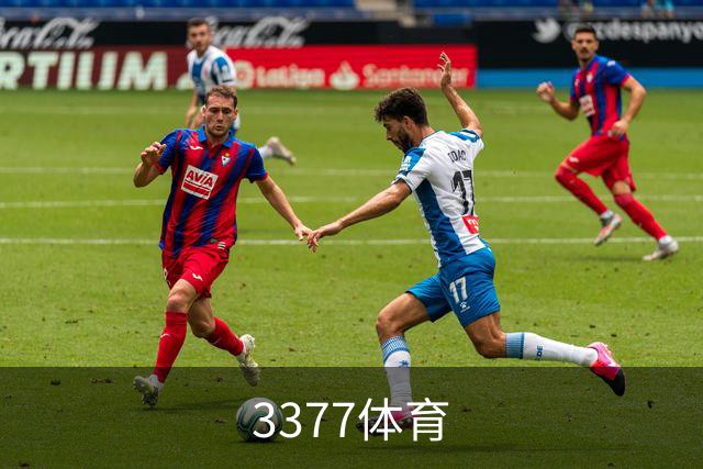 3377体育公司简介图片